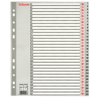 rozlišovač A4 Esselte maxi 1-31 šedý plastový