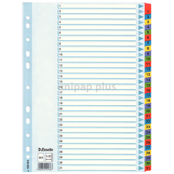 rozlišovač Esselte Mylar A4 1-31