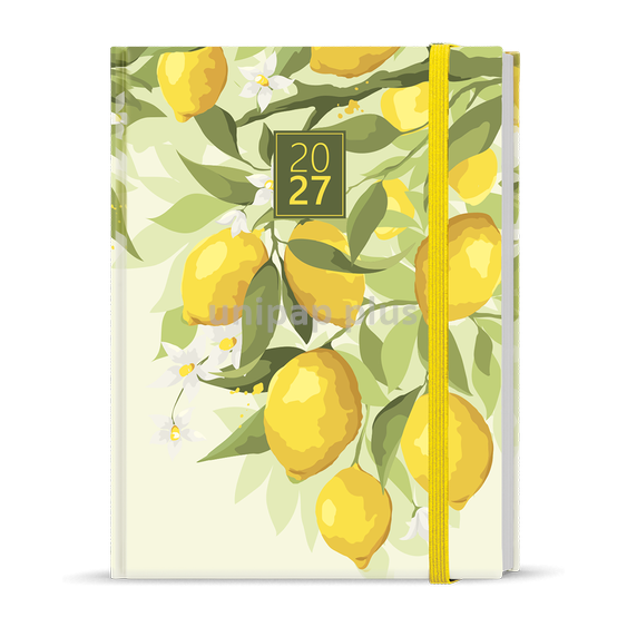 Denní diář - Adam - Lamino - B6 - Citron