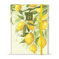 Denní diář - Adam - Lamino - B6 - Citron