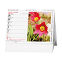 images\Kalendare\8311200101.png