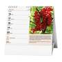 images\Kalendare\A411200101.png