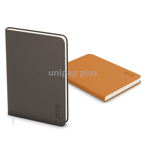 diář měsíční B5 Dino