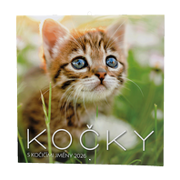 kalendář nástěnný poznámkový - kočky