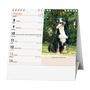 images\Kalendare\I411200101.png