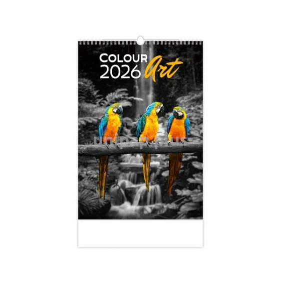 kalendář nástěnný Colour Art