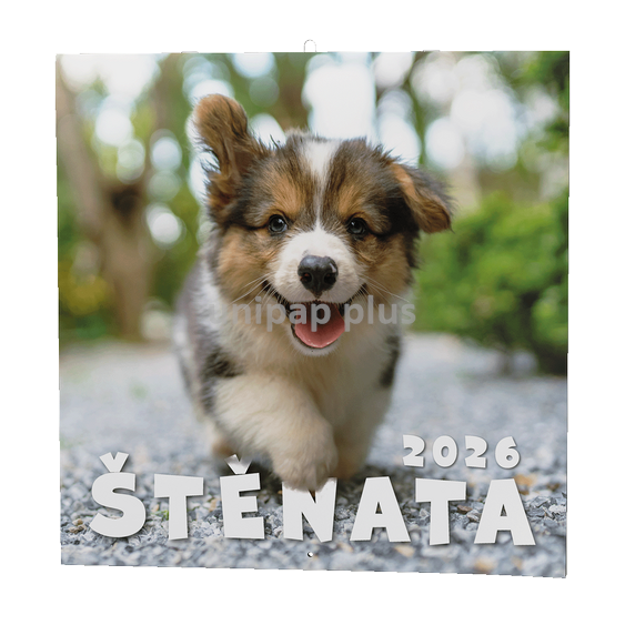 kalendář nástěnný poznámkový - štěňata