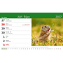 images\Kalendare\S22-1.png