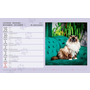 images\Kalendare\S33-27-1.png