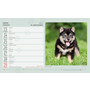 images\Kalendare\S34-27-1.png