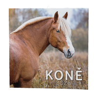 kalendář nástěnný poznámkový - koně
