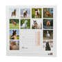 images\Kalendare\V321200101.png