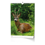 images\Kalendare\X1H7200101.png