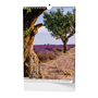images\Kalendare\Z121200101.png