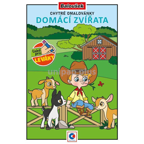 omalovánka A5 Domácí zvířata