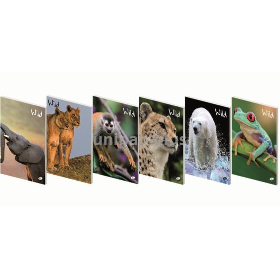 sešit A5 linka 40 listů Elisa