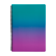 Twin wire blok A4 PP Ombre růžová