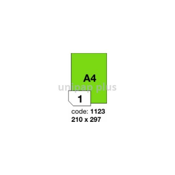 samolepící etiketa A4 R0120 zelená 210 x 297 mm 1 etiketa