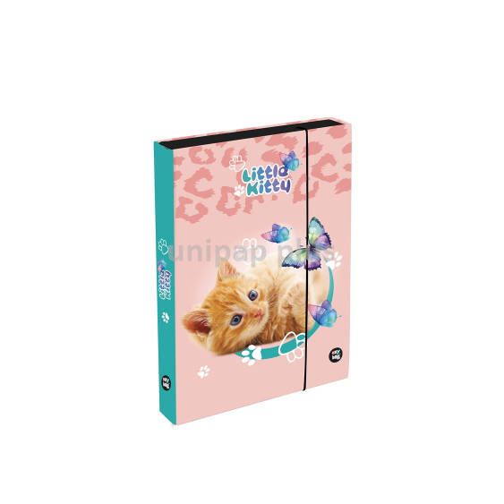 box na sešity A5 Jumbo Kočka