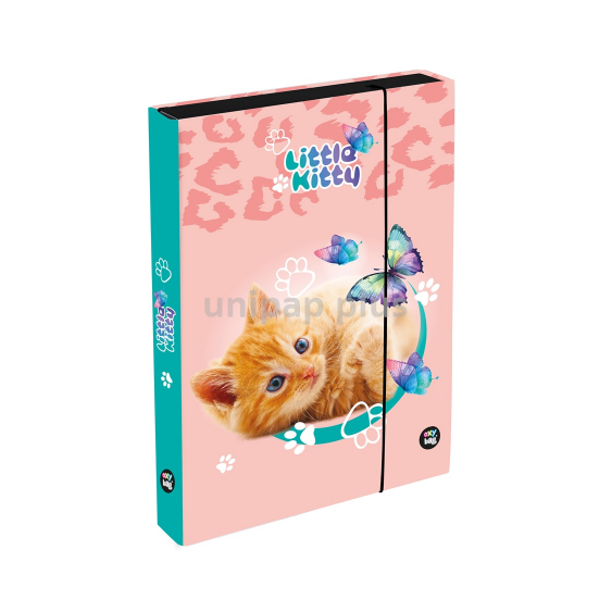 box na sešity A4 Jumbo Kočka