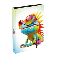 box na sešity A4 Jumbo Chameleon