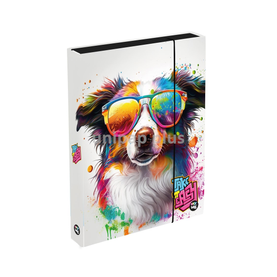 box na sešity A4 Jumbo Pes