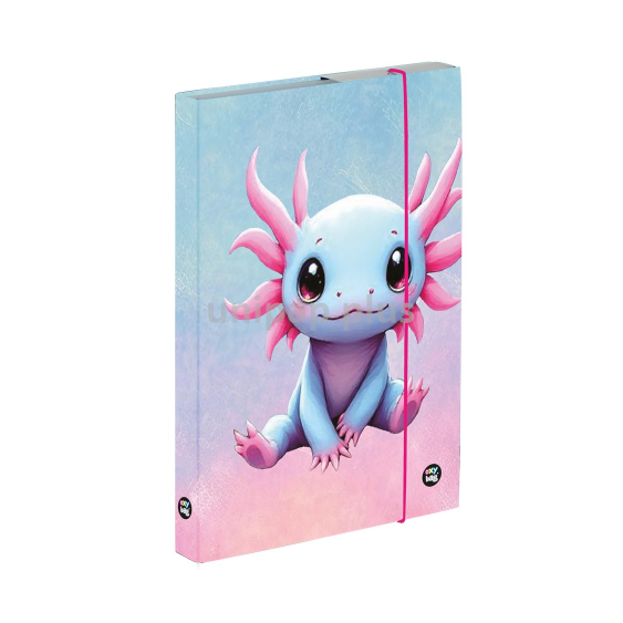 box na sešity A5 Axolotl