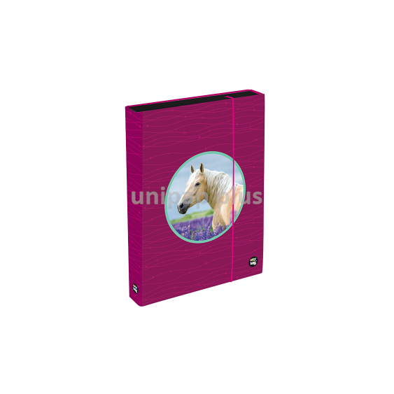box na sešity A4 Jumbo Oxy Sherpy Pink