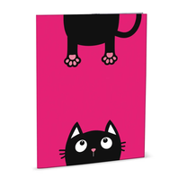 desky na abecedu Crazy Kitten